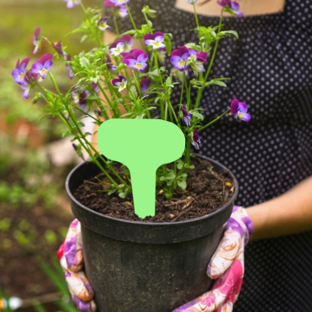 100pcs Gardening Plant Label Waterproof Plant Markers Plastic Insert Ground Card T-shaped Plant Lables Graines A Planter