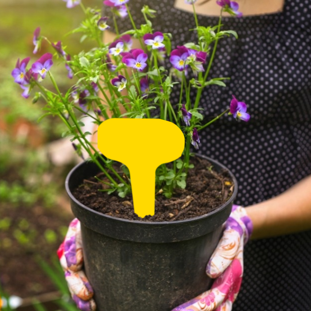 100pcs Gardening Plant Label Waterproof Plant Markers Plastic Insert Ground Card T-shaped Plant Lables Graines A Planter