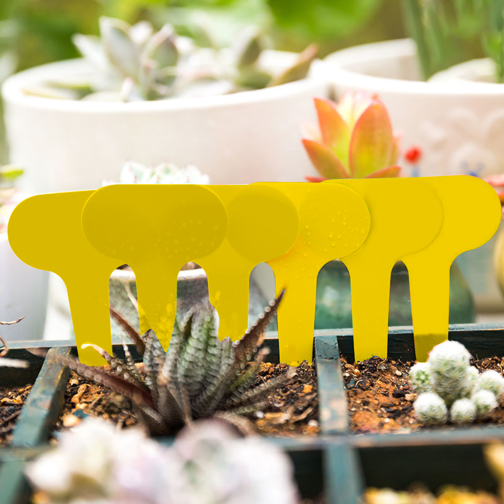 100pcs Gardening Plant Label Waterproof Plant Markers Plastic Insert Ground Card T-shaped Plant Lables Graines A Planter
