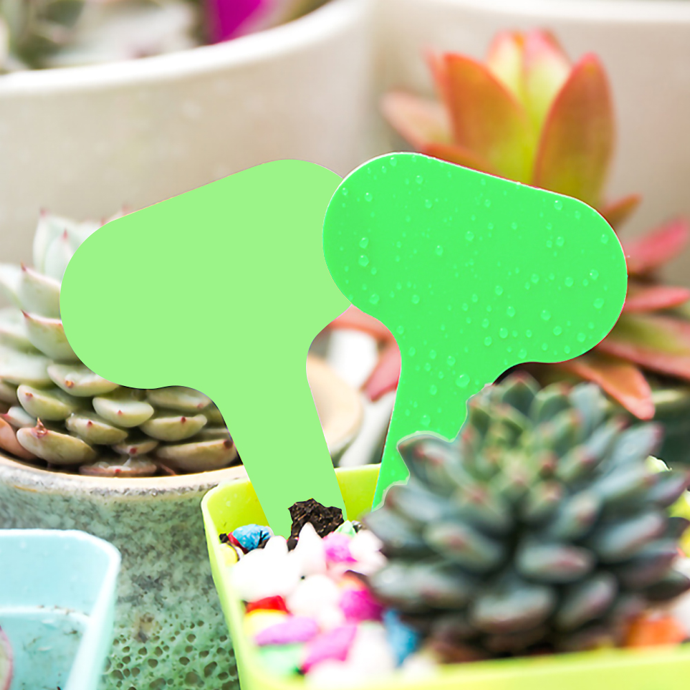 100pcs Gardening Plant Label Waterproof Plant Markers Plastic Insert Ground Card T-shaped Plant Lables Graines A Planter